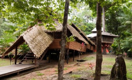 Camp Cariacou - Écotourisme