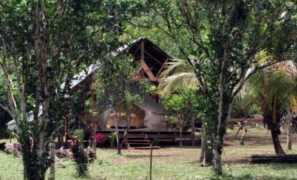 Auberge de la crique grand Laussat  -Mana